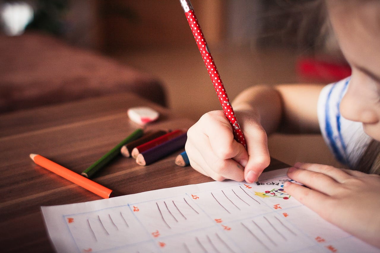 Edukacja zawodowa a wyniki egzaminów branżowych