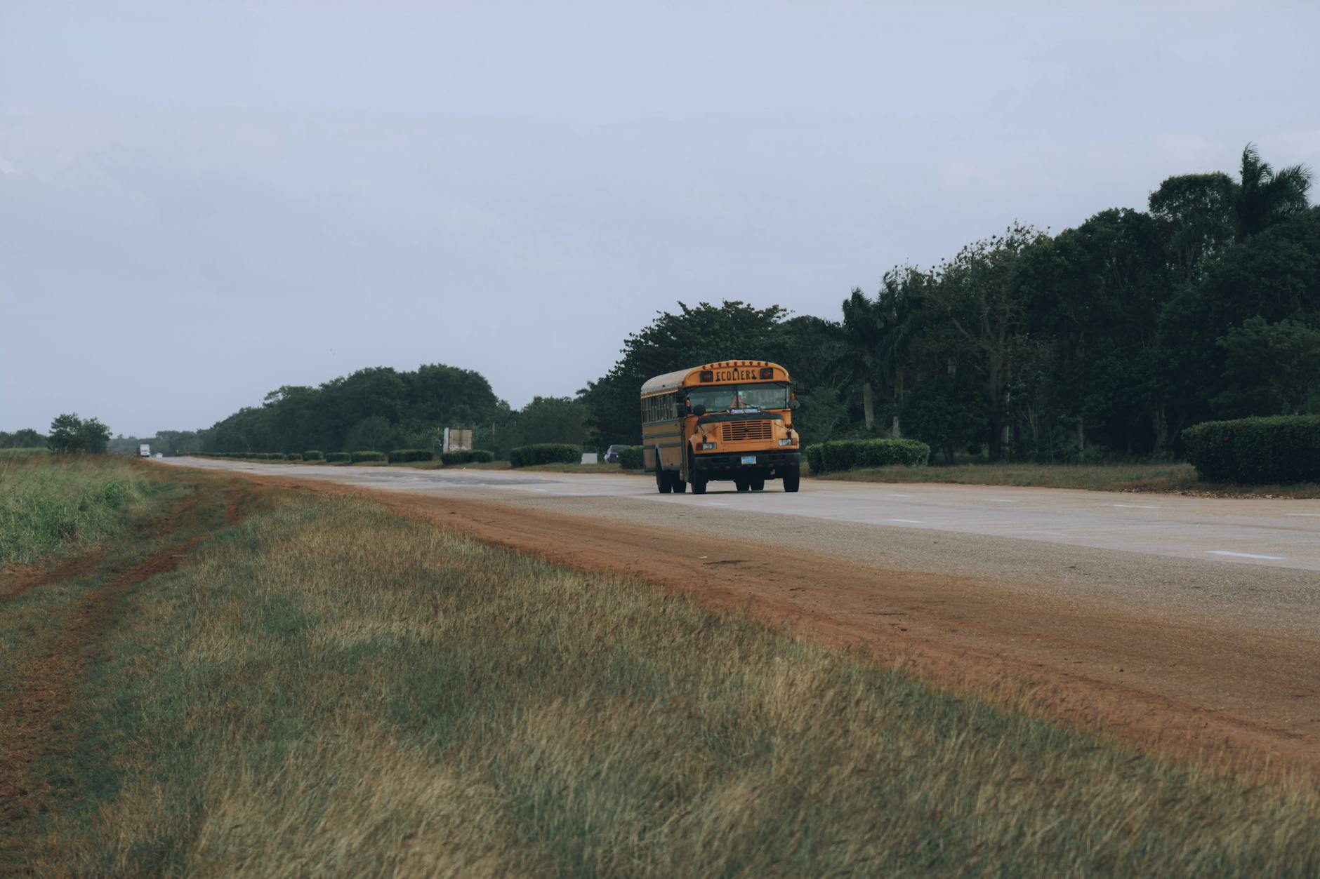 Żółty autobus szkolny na wiejskiej drodze wśród pól i drzew